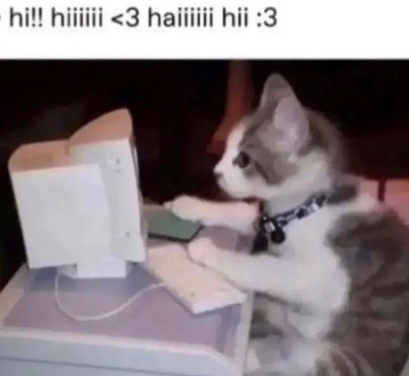 miau